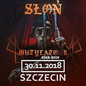 Słoń - Szczecin