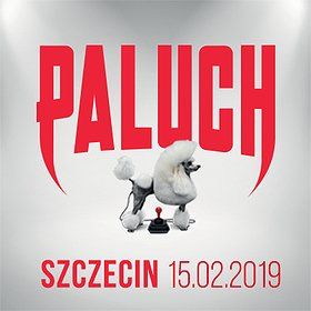 Paluch - Szczecin