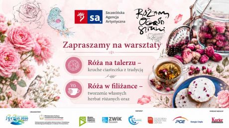 Warsztaty:  Róża w filiżance %2F Róża na talerzu